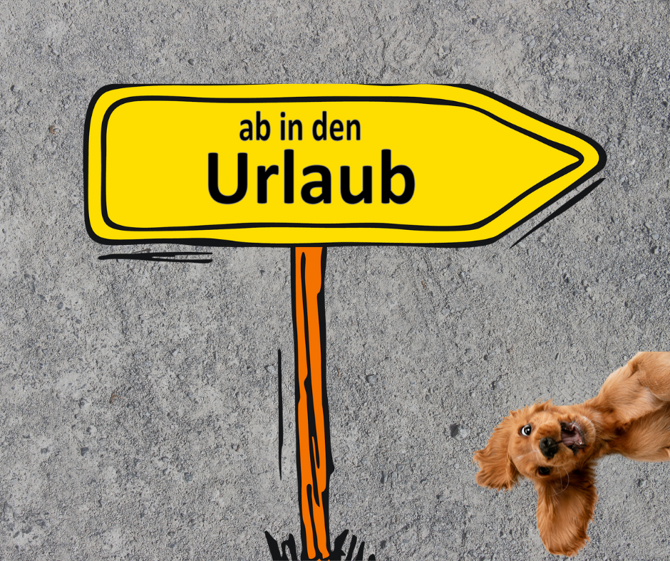 Ab in den Urlaub mit dem Hund, was muss ich beachten? - Ab in den Urlaub mit dem Hund, was muss ich beachten?