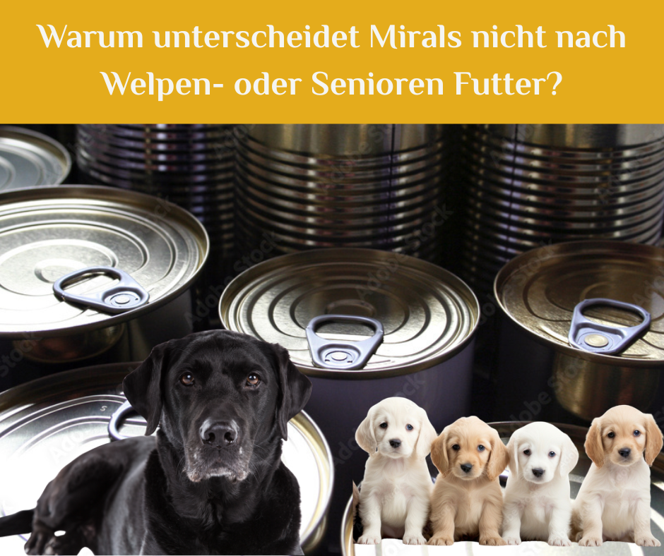 Welpen und Seniorenfutter! Warum wir nicht unterscheiden. - Welpen und Seniorenfutter! Warum wir nicht unterscheiden.