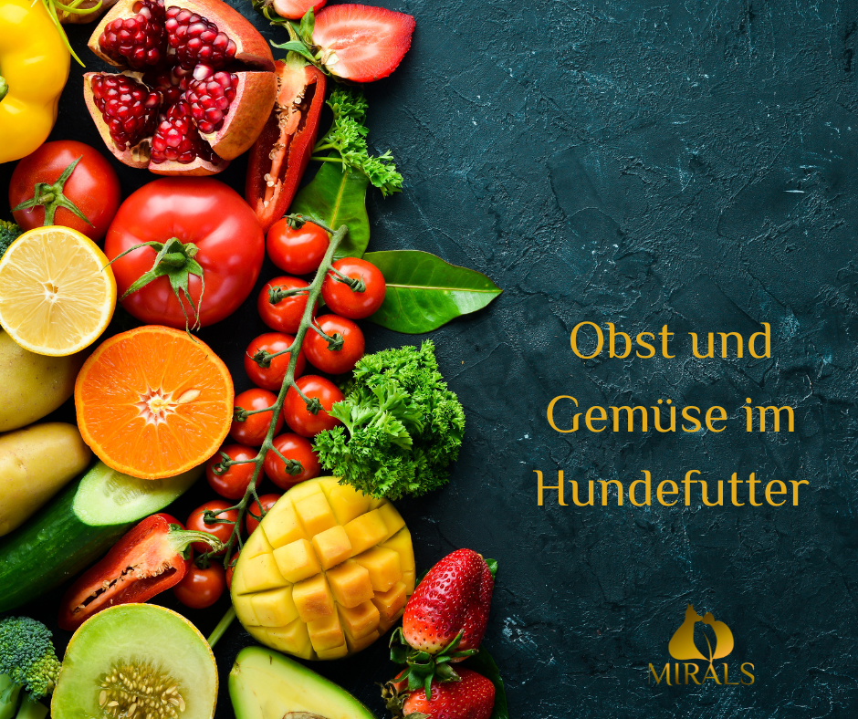 Obst und Gemüse im Hundefutter - Obst und Gemüse im Hundefutter