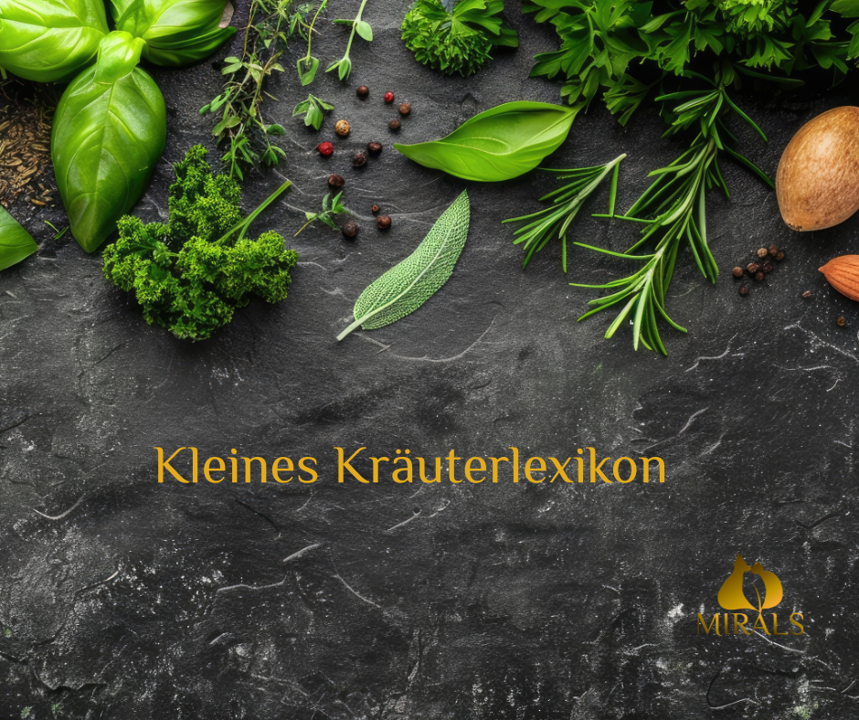 Kleines Kräuterlexikon - Kleines Kräuterlexikon