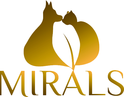 Der Mirals Blog