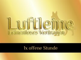Offene Stunden in der Pause