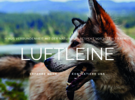 Unsere Hundeschule erleben