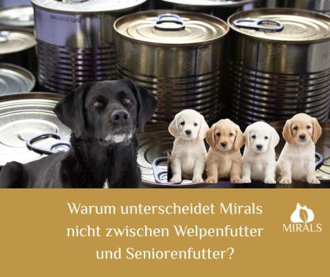 Welpen und Seniorenfutter! Warum wir nicht unterscheiden. - Welpen und Seniorenfutter! Warum wir nicht unterscheiden.
