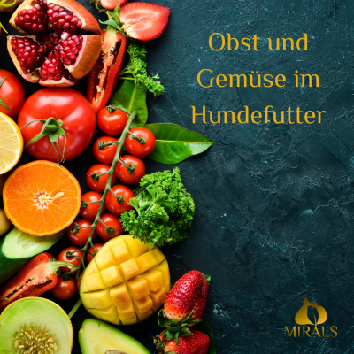 Obst und Gemüse im Hundefutter - Obst und Gemüse im Hundefutter