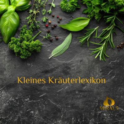 Kleines Kräuterlexikon - Kleines Kräuterlexikon
