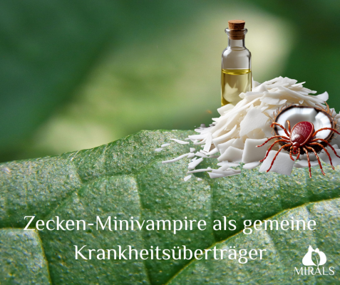 Zecken-Minivampire als gemeine Krankheits-Überträger - Zecken-Minivampire als gemeine Krankheits-Überträger