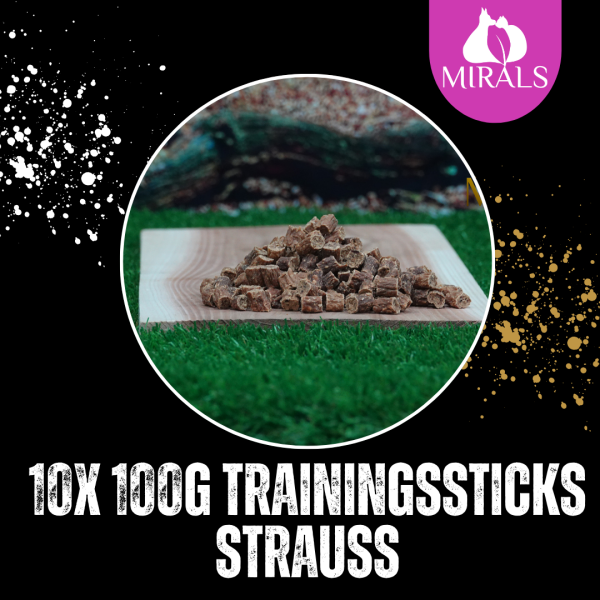 10 x 100g Trainingsstick Strauß im Sparpaket