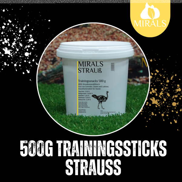 500g Trainingsstick Strauß im Spareimer