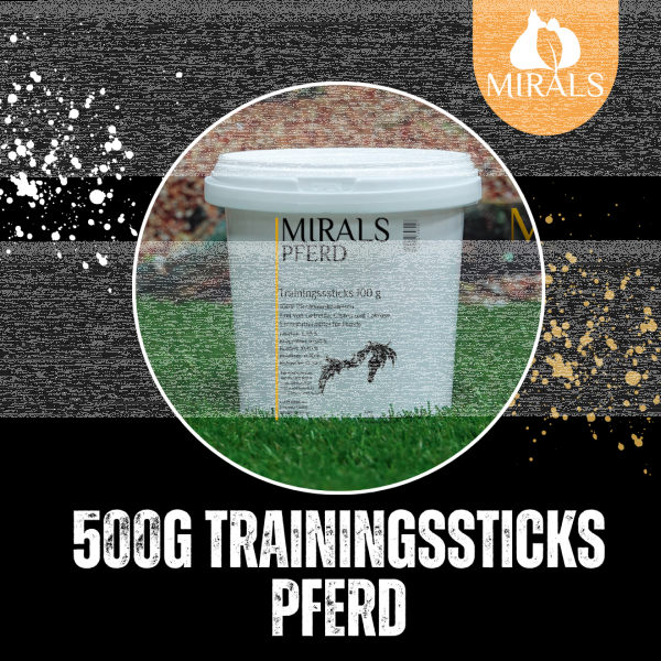 500g Trainingsstick Pferd im Spareimer