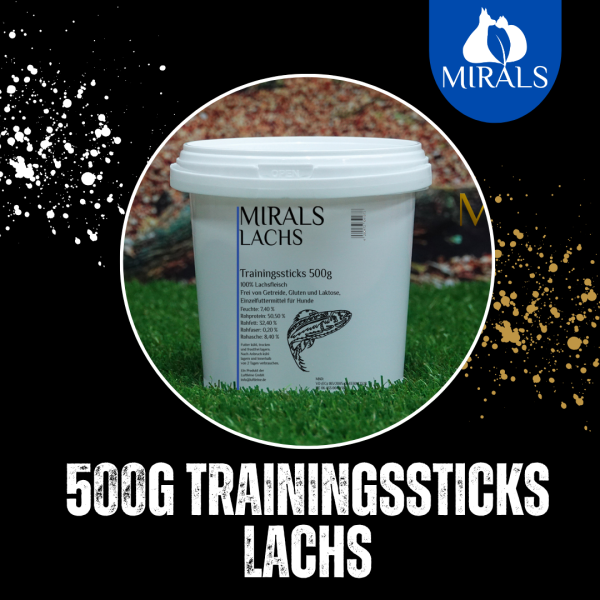 500g Trainingsstick Lachs im Spareimer