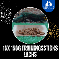 10 x 100g Trainingsstick Lachs im Sparpaket