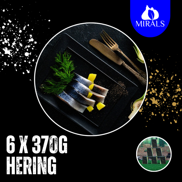 6x 370g Heringsfilets mit Fenchel-Chicorée Gemüse an Ananas-Kokos Sauce