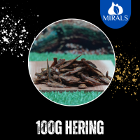 100g Hering
