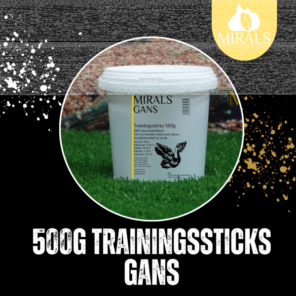 500g Trainingsstick Gans im Spareimer