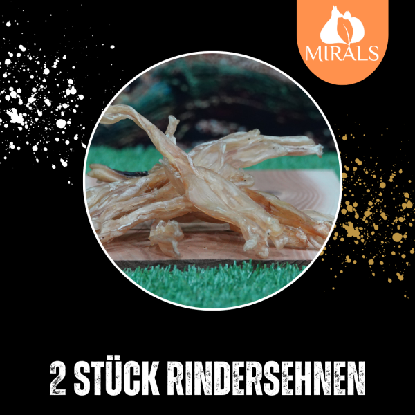 2 Stück Rinder Achilissehnen