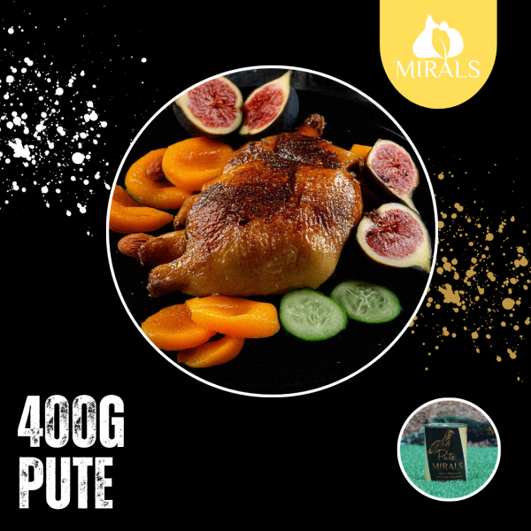 400g Leichte Putenwürfel an Gurken-Feldsalat mit Feigen-Aprikosen Püree