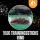 100g Trainingsstick Rind