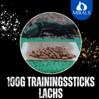 100g Trainingsstick Lachs