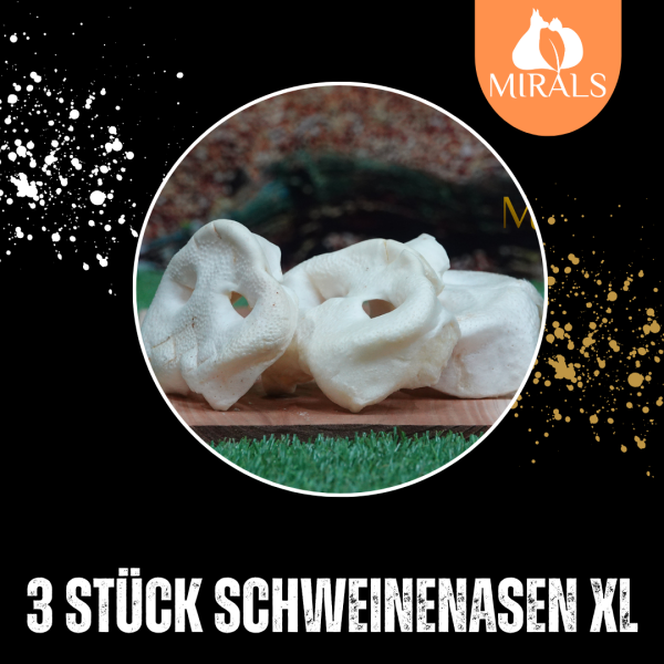 3 Stück Schweinenasen XL