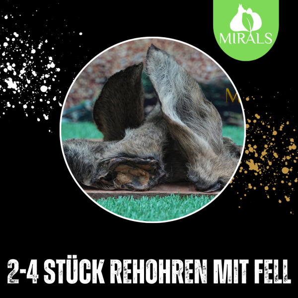 2-4 Stück Rehohren mit Fell