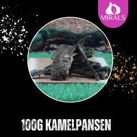 100g Kamelpansen