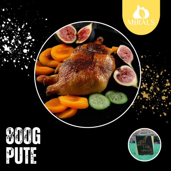 800g  Leichte Putenwürfel an Gurken-Feldsalat mit Feigen-Aprikosen Püree