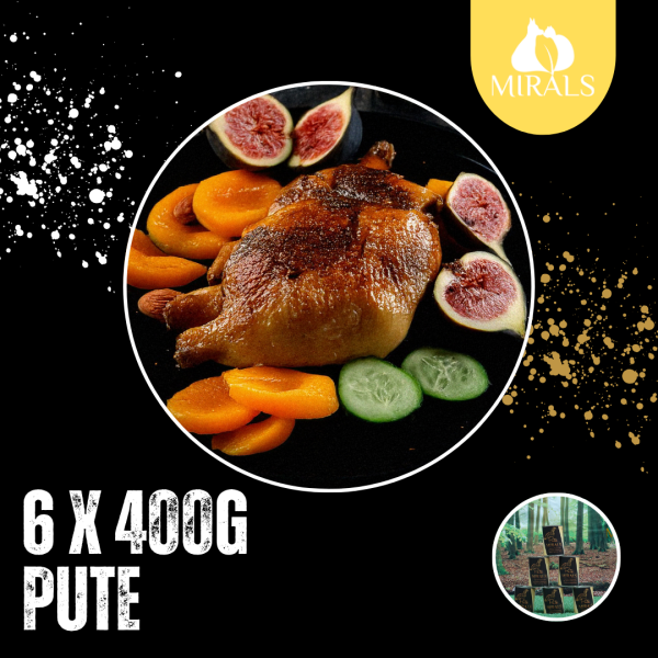 6 x 400g Leichte Putenwürfel an Gurken-Feldsalat mit Feigen-Aprikosen Püree