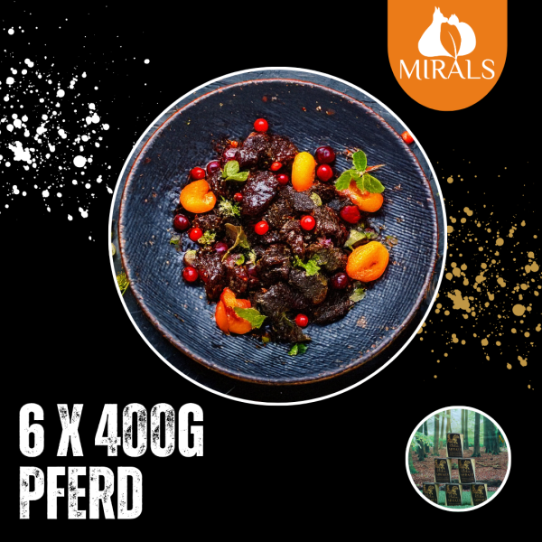 12 Dosen kaufen zum Preis von 6 Dosen (6 x 400g Rossfleisch auf Fenchel-Aprikosen Salat und Hagebutten-Beeren Creme