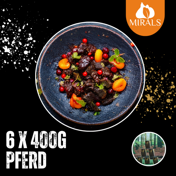 6 x 400g Rossfleisch auf Fenchel-Aprikosen Salat und Hagebutten-Beeren Creme