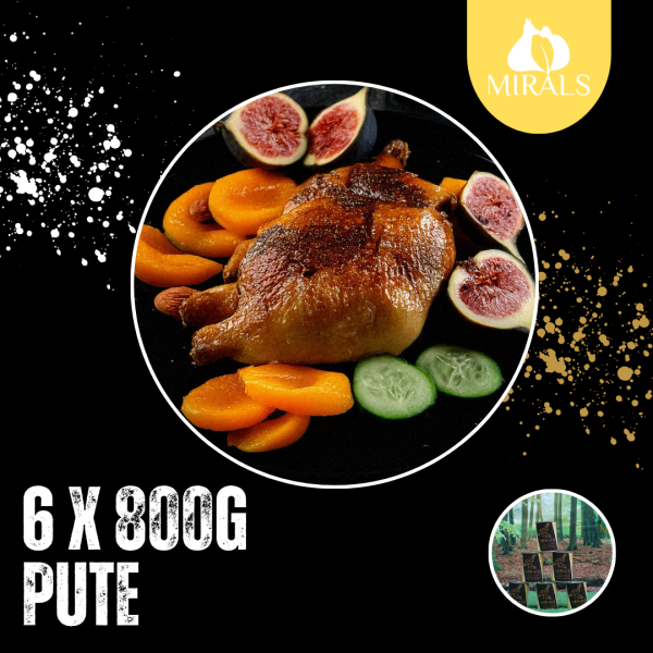 6 x 800g Leichte Putenwürfel an Gurken-Feldsalat mit Feigen-Aprikosen Püree