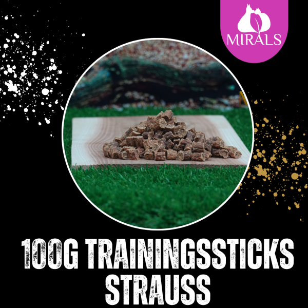 100g Trainingsstick Strauß