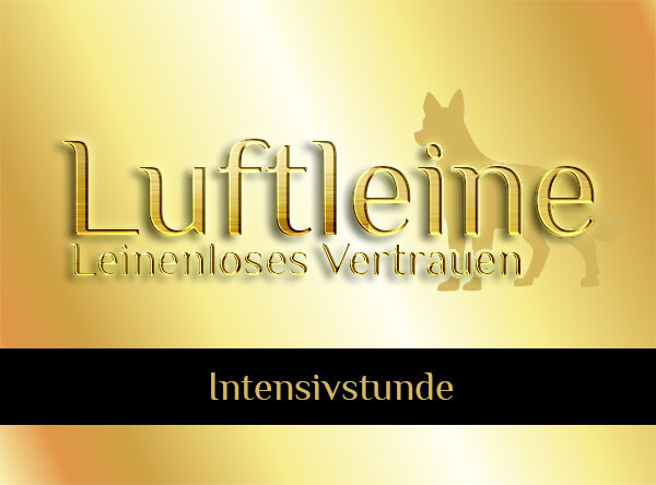 1x Offenes Spielen