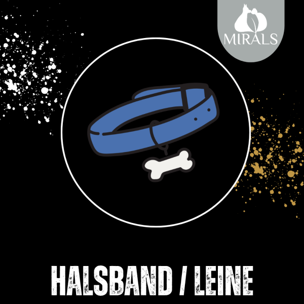 Handgefertigtes Halsband individuell