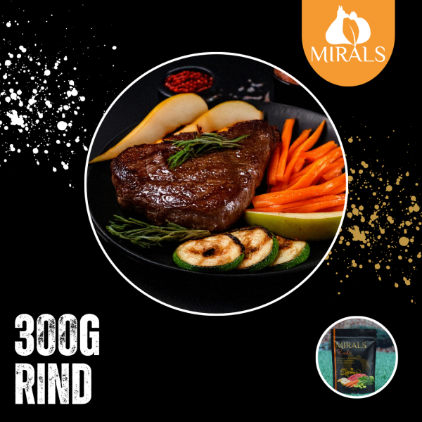 300g  Das Feinste vom Rind im Zucchini-Möhrenbeet an Apfel-Birnen Salat