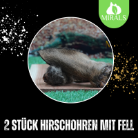 2 Stück Hirschohren mit Fell