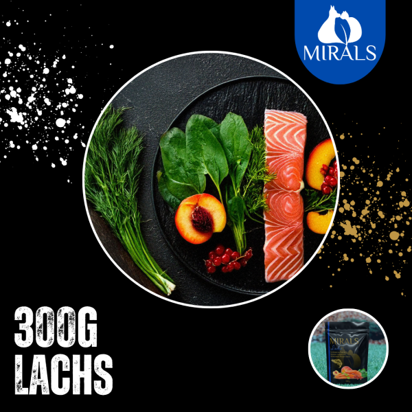 300g Lachstatar auf Spinat-Karotten Gemüse mit Johannisbeer-Pfirsich Sauce