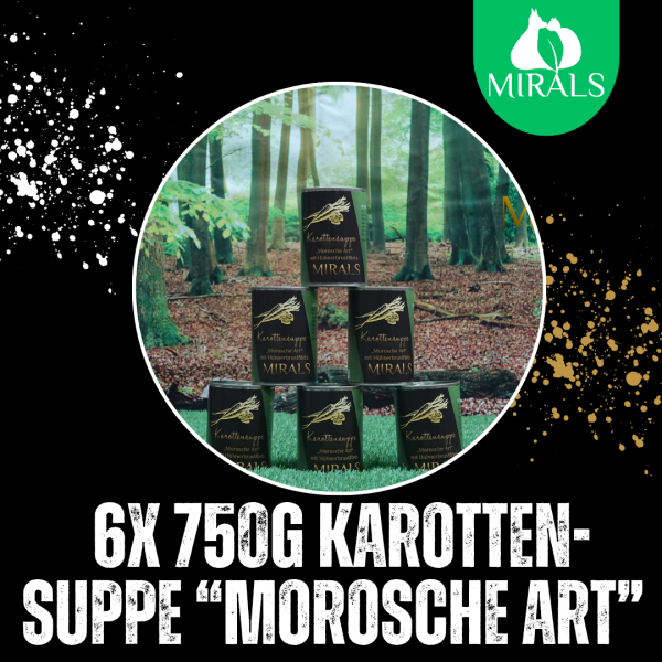 750 Mirals Karottensuppe "Morosche Art"